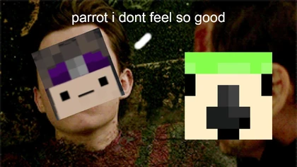 Unstable SMP/Universe Bloopers (Wifies POV)